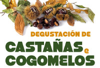 ACIA/CCA de Foz organiza unha degustación de castañas e cogomelos en 25 locais hostaleiros os días 20 e 21 de novembro.