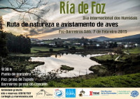 Maremasma organiza una ruta de naturaleza y avistamiento de aves. Será este sábado, 7 de febrero, en la ría de Foz.