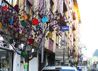 Un grupo de comerciantes de la ribadense Avenida de Galicia han decidido darle la bienvenida a la Navidad adornando parte de los árboles de esa calle. El 12 de diciembre habrá animación musical en la zona. 