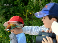 Rinlo acollerá o 10 de maio unha sesión didáctica de anelamento e identificación das aves que habitan nesa rasa costeira. É preciso anotarse.