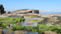 Cumplimos un año y renovamos la imagen de Faro Ocio Norte, la guía para disfrutar de A Mariña lucense. 