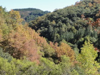 O grupo de montaña Pena Tallada, de Ribadeo, realizará unha ruta por Becerreá, a carón do río Donsal, o 16 de maio.