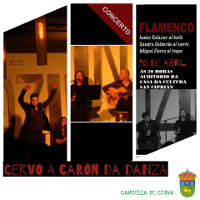 O auditorio da Casa da Cultura, en San Ciprián, acollerá este sábado, 30 de abril, un espectáculo de flamenco. Será ás oito da tarde. 
