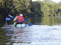 Comezan o 6 de xullo os Mércores de Natureza no Vicedo cunha baixada en kayaks polo río Sor. Durante este mes haberá tamén sendeirismo. 