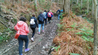 Amigos de RegalXunqueira organiza un roteiro de Viveiro a Morás, que terá lugar este domingo, 15 de maio. 