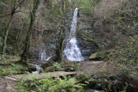 Pensamento e Sementeira organiza unha excursión a Santo Estebo do Ermo (Barreiros) o vindeiro 3 de abril. 