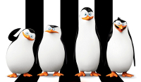 Este martes, 26 de xullo, haberá unha nova sesión de cine ao aire libre en Burela. Vaise proxectar a película "Los pingüinos de Madagascar". 