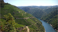 A ACD Xove realizará o 18 de setembro a ruta Ribeira Sacra do Miño, 16 quilómetros que discorrerán entre Pantón e O Saviñao.