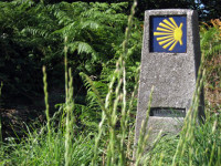 Pasada das Cabras e Terras de Lourenzá realizarán este sábado, 9 de xaneiro, a etapa do Camiño Norte entre Ribadeo e Vilamartín Pequeno.