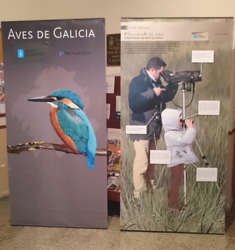 A Biblioteca Municipal de Ribadeo acolle ata o 3 de febreiro unha exposición didáctica de aves do Centro de Extensión Universitaria e Difusión Ambiental de Galicia. 