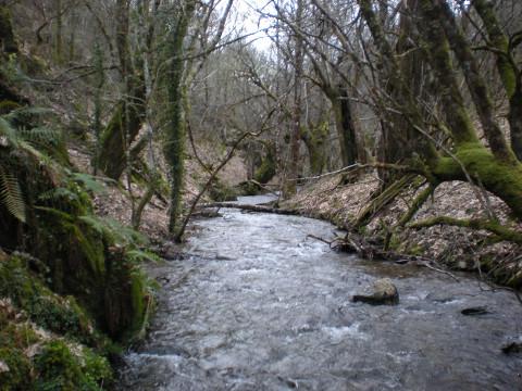 O grupo de montaña Pena Tallada, de Ribadeo, realizará unha ruta por Becerreá, a carón do río Donsal, o 16 de maio.