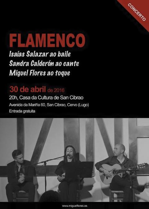 O auditorio da Casa da Cultura, en San Ciprián, acollerá este sábado, 30 de abril, un espectáculo de flamenco. Será ás oito da tarde. 