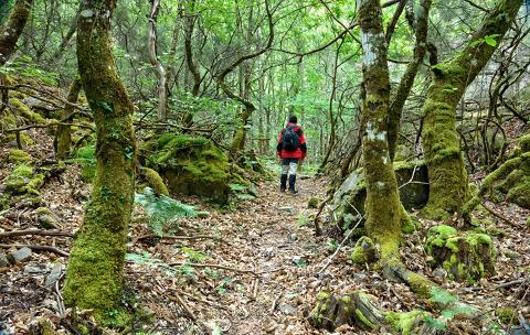 O Grupo de Sendeirismo da ACD Xove realizará o vindeiro 18 de outubro a ruta Senda Verde del Agüeira, polos Oscos, en Asturias. 