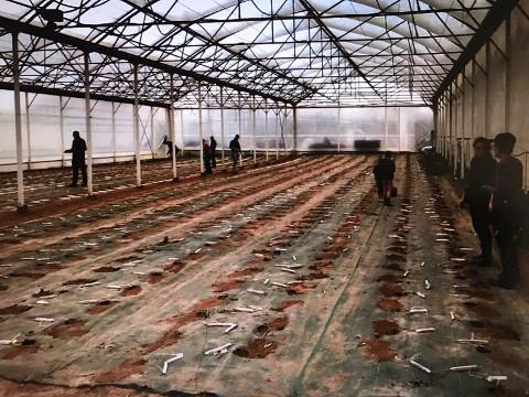 Jean Pacheco, produtor de agricultura ecolóxica en Francia, visita a Mariña do 3 ao 6 de febreiro, da man de Apaga e coa colaboración dos Concellos de Ribadeo, Lourenzá e Mondoñedo. 