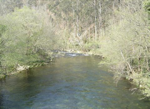 Nordés Faladora organiza unha camiñata a carón do río Sor e dúas inspeccións desta conca. A actividade terá lugar o 19 de marzo. 