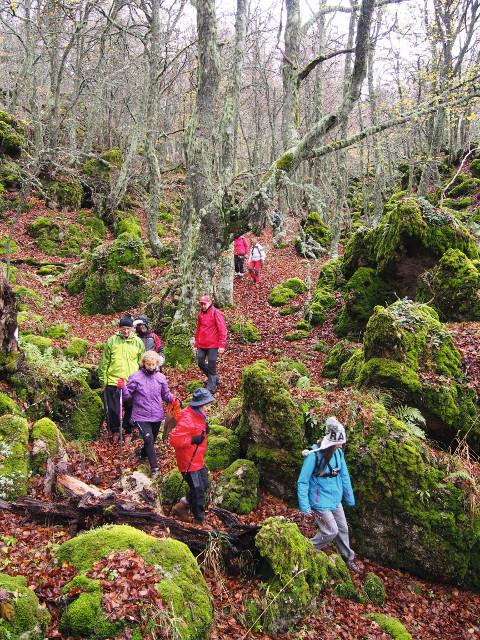 A asociación burelesa Pasada das Cabras organiza unha ruta a Valporquero (León) o vindeiro sábado, 12 de setembro. A inscrición está aberta.