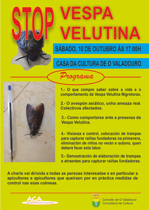 A Casa da Cultura do Valadouro acolle este sábado, 10 de outubro, ás 17 horas unha charla sobre a vespa velutina.
