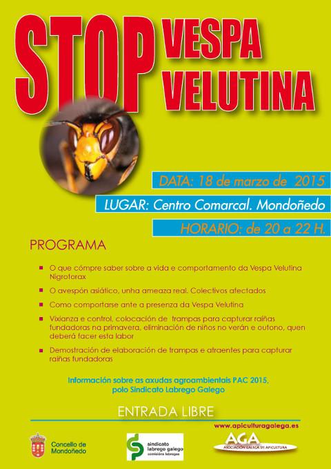 O 18 de marzo haberá en Mondoñedo unha charla sobre a vespa velutina. Será no Centro Comarcal.