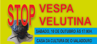 A Casa da Cultura do Valadouro acolle este sábado, 10 de outubro, ás 17 horas unha charla sobre a vespa velutina.